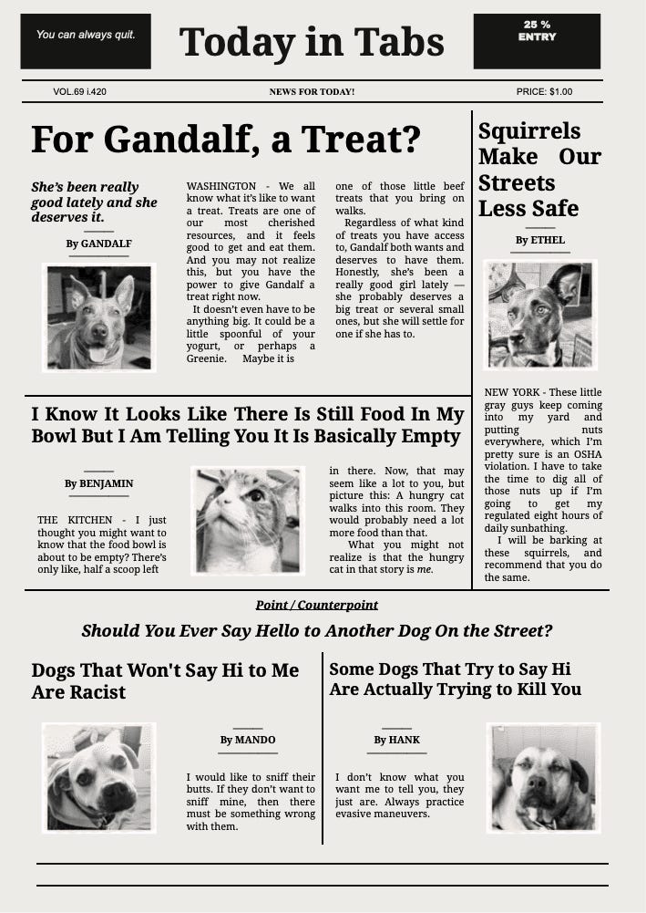 A newspaper mockup of stories about the pets of the Tabs subscriber discord. Headlines include “For Gandalf, a Treat?” “Squirrels Make Our Streets Less Safe,” “I Know It Looks Like There Is Still Food In My Bowl, But I Am Telling You It Is Basically Empty,” and a Point/Counterpoint: “Dogs That Won’t Say Hi To Me Are Racist” vs. “Some Dogs That Try To Say Hi Are Actually Trying To Kill You.” Much to think about.  