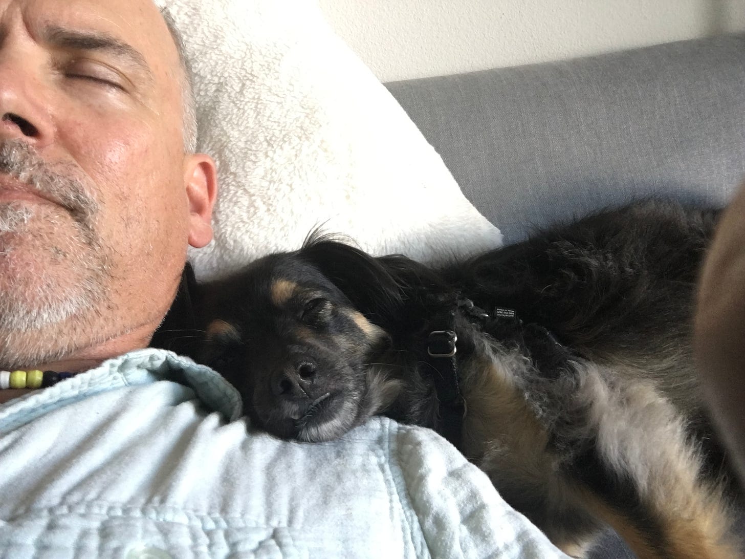 A photo of the author being lazy with his dog.