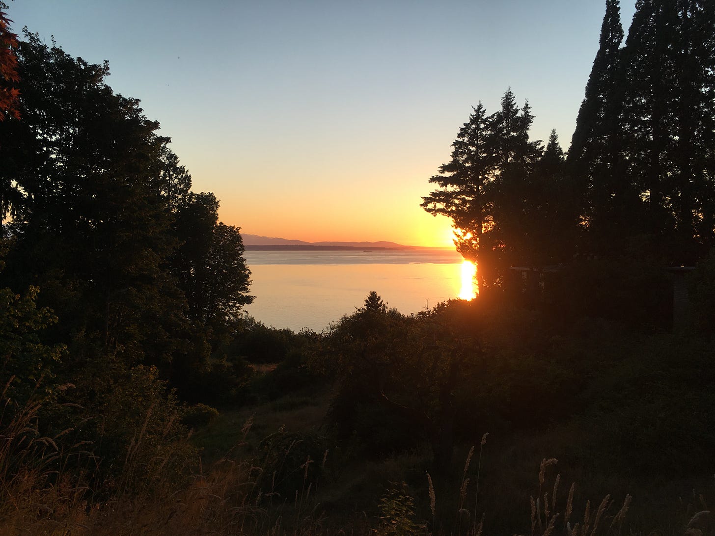 Sun setting at the Puget Sound. Sound waters and behind them, the slight Olympic Mountain Range, held by trees and a small valley. close to the camera are wisps of tall grass.