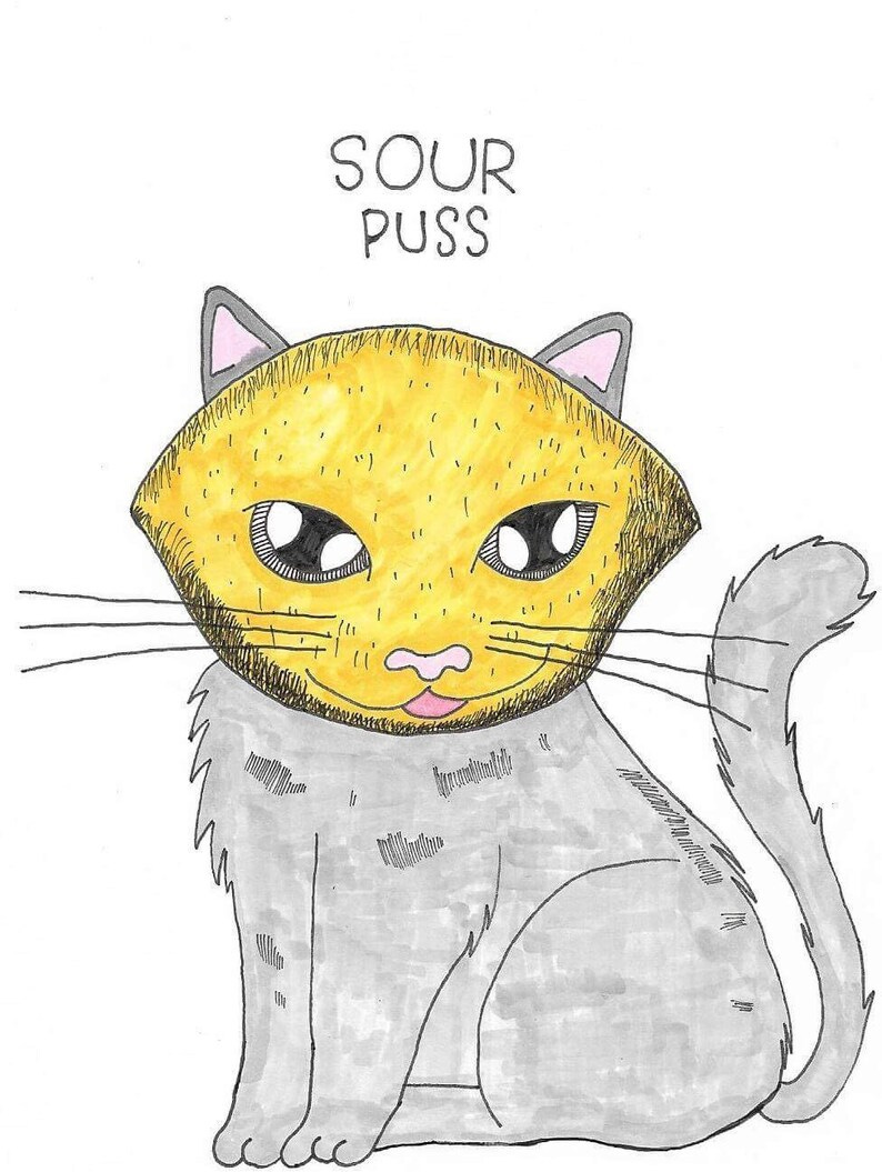 Sour Puss image 1