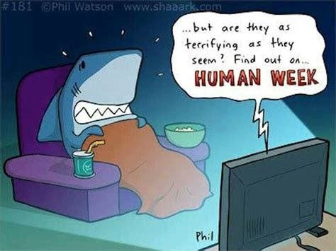 Human Week | Sharks funny, Funny cartoons, Shark