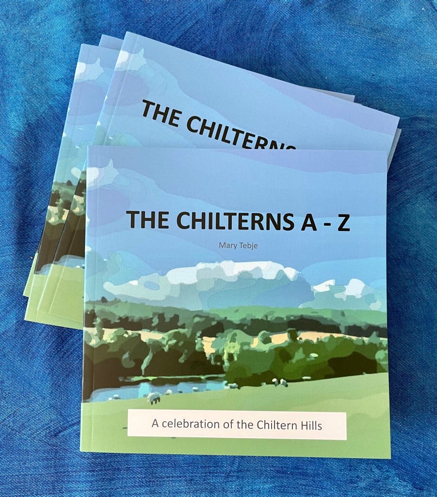 Discover the Chilterns hills whatever the season