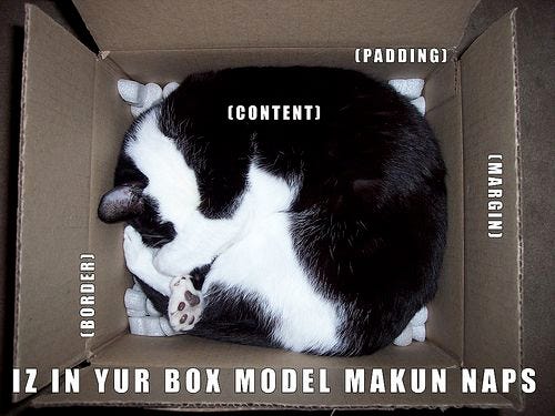 Cat demonstrating the box model. 
