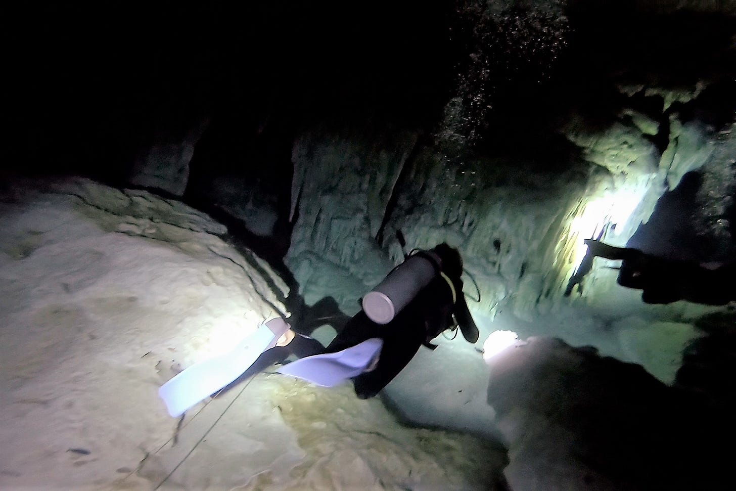 Divers in cenote