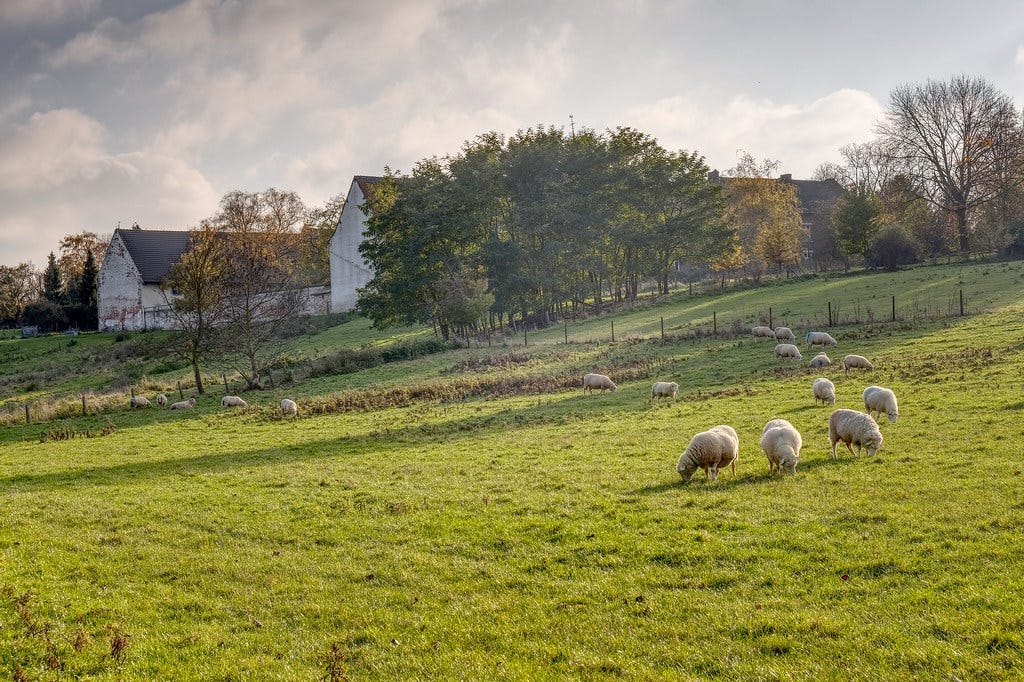 "Pastoral view of Colen Abbey" by enneafive is licensed under CC BY 2.0