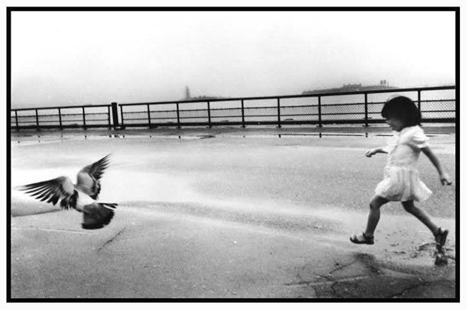 17-Trying-Their-Wings-1984