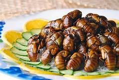 Photoguide on edible insects (15 pictures) | Memolition