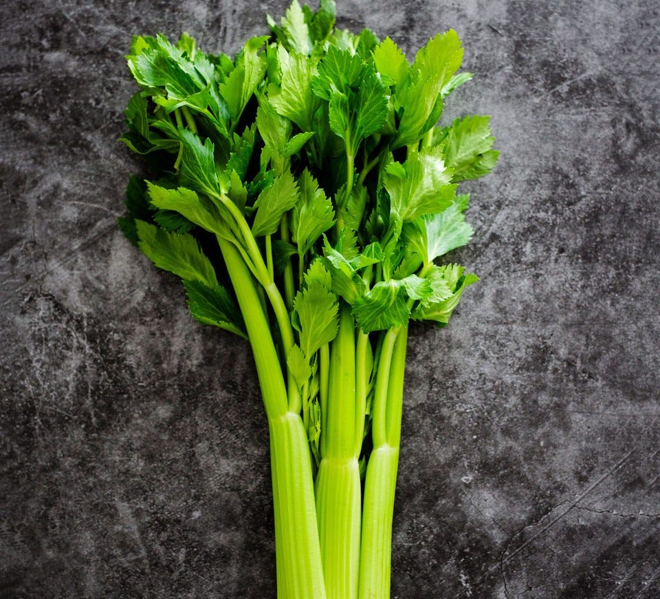 Celery stalks and leaves on a dark background