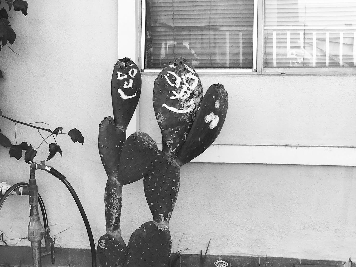 Black and white photo of two cactuses with faces painted on them in white paint. They are up against a stucco wall and a small window.