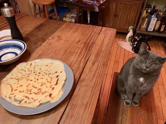 A gray cat sitting next to a plate of crepes, with her eyes half-closed