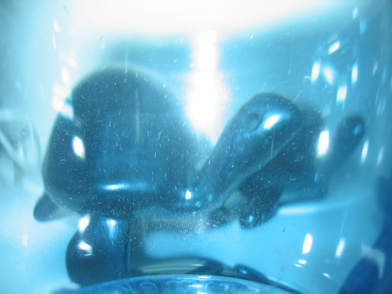 image of ceramic turtles photographed through a hazy blue glass