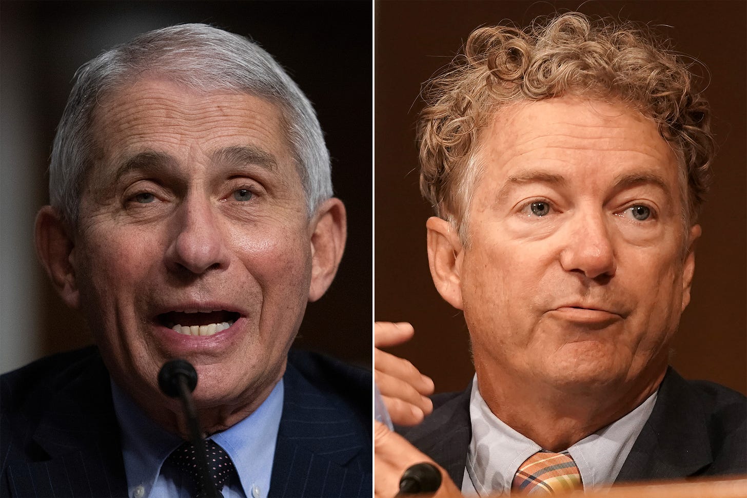 Fauci and Rand Paul clash over Cuomo, NY handling of COVID-19
