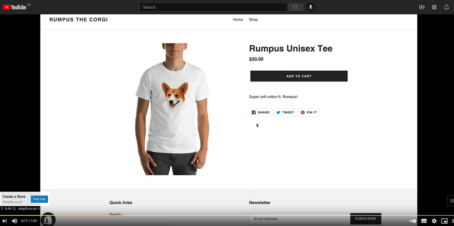 Clip of online store front for ‘Rumpus the Corgi’ with generic man wearing generic corgi t-shirt. For $20. That’s a $2 t-shirt with $18 for printing and posting, right?