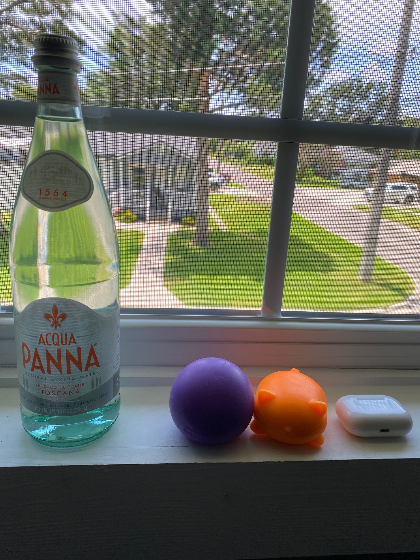 Image of view out writer's window, with a bottle of water, two stim toys, and AirPods stacked on the sill.