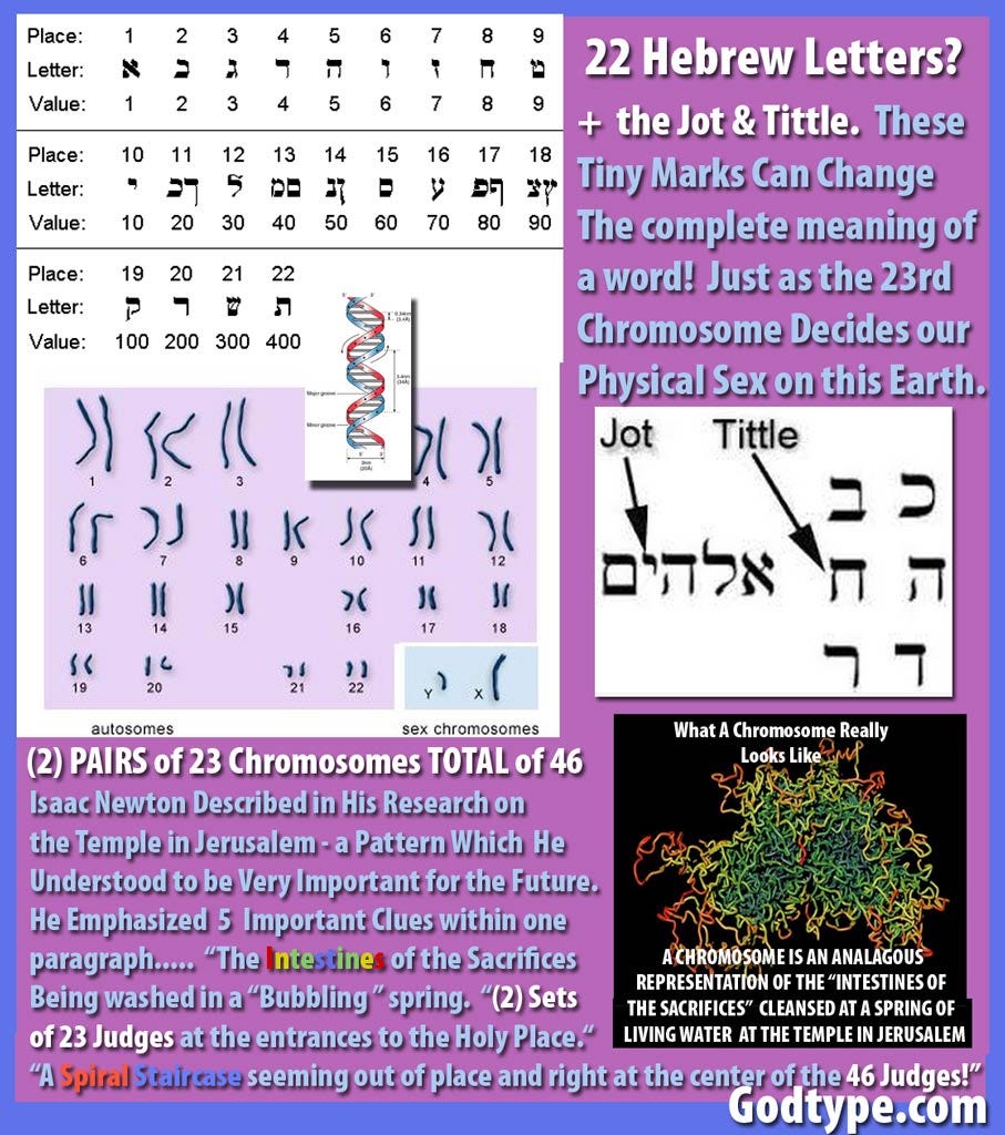 46-chromosomes-newton-temple