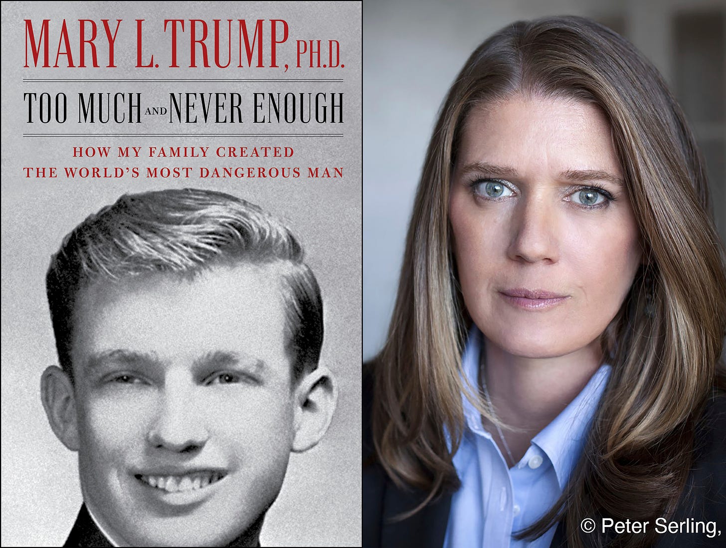 Review of 'Too Much and Never Enough: How My Family Created the World's  Most Dangerous Man' by Mary L. Trump - The Washington Post