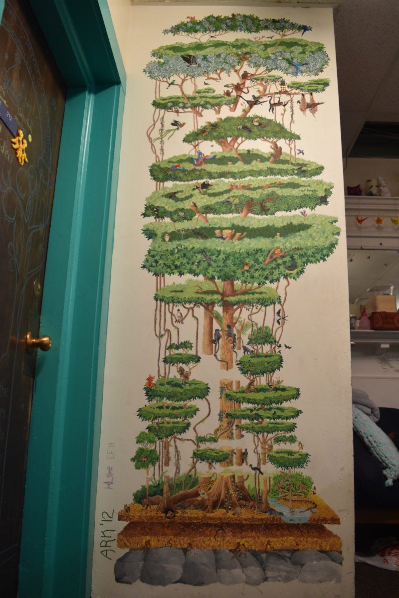 mural of intricate tree drawing with hidden easter eggs including past loop cats, waldo, and some star wars things