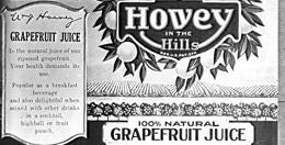 Clone of The History of Howey-in-the-Hills | Howey-in-the-Hills, Florida