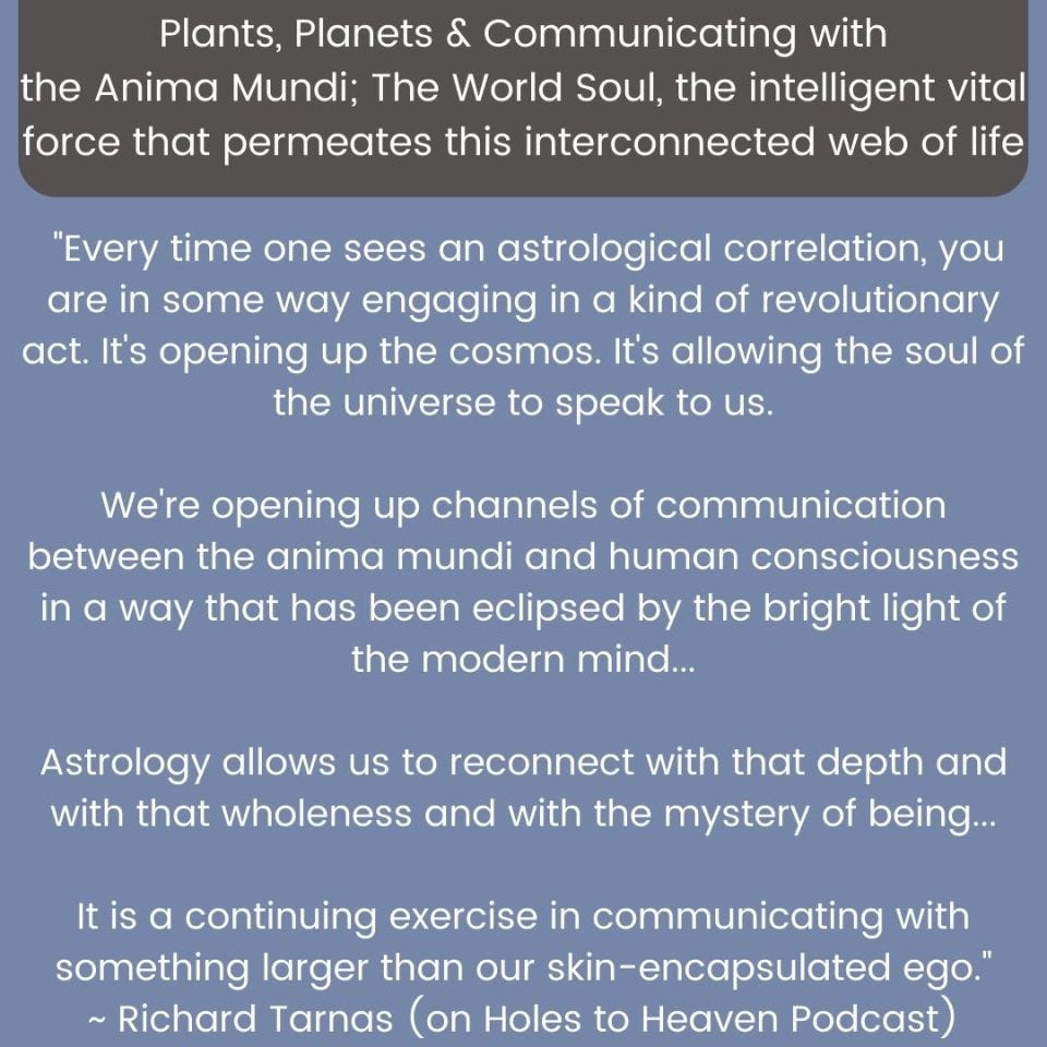 Quote from richard Tarnas about astrology being a way that the soul of the universe speaks to us