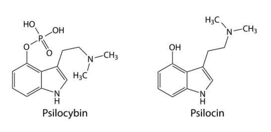 psilocybin_psilocin_molecular_structures