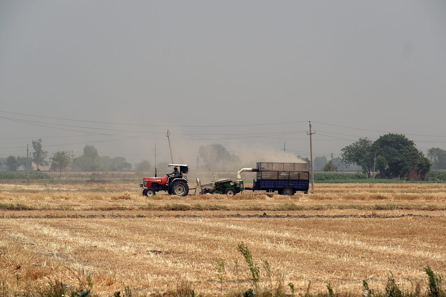 India&nbsp;experienced its hottest March on record, shriveling India’s wheat crop during a crucial growth period.