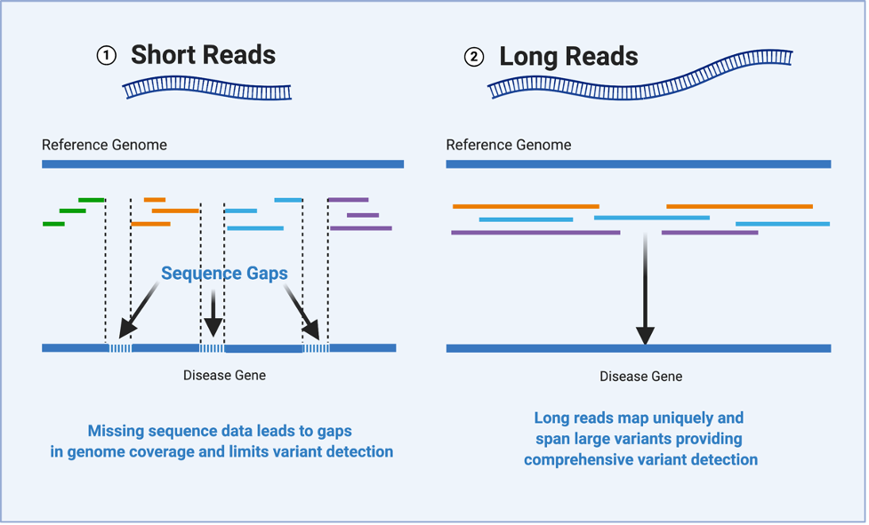 HudsonAlpha researchers use highly accurate long-read sequencing technology  to help diagnose rare disease – HudsonAlpha Institute for Biotechnology