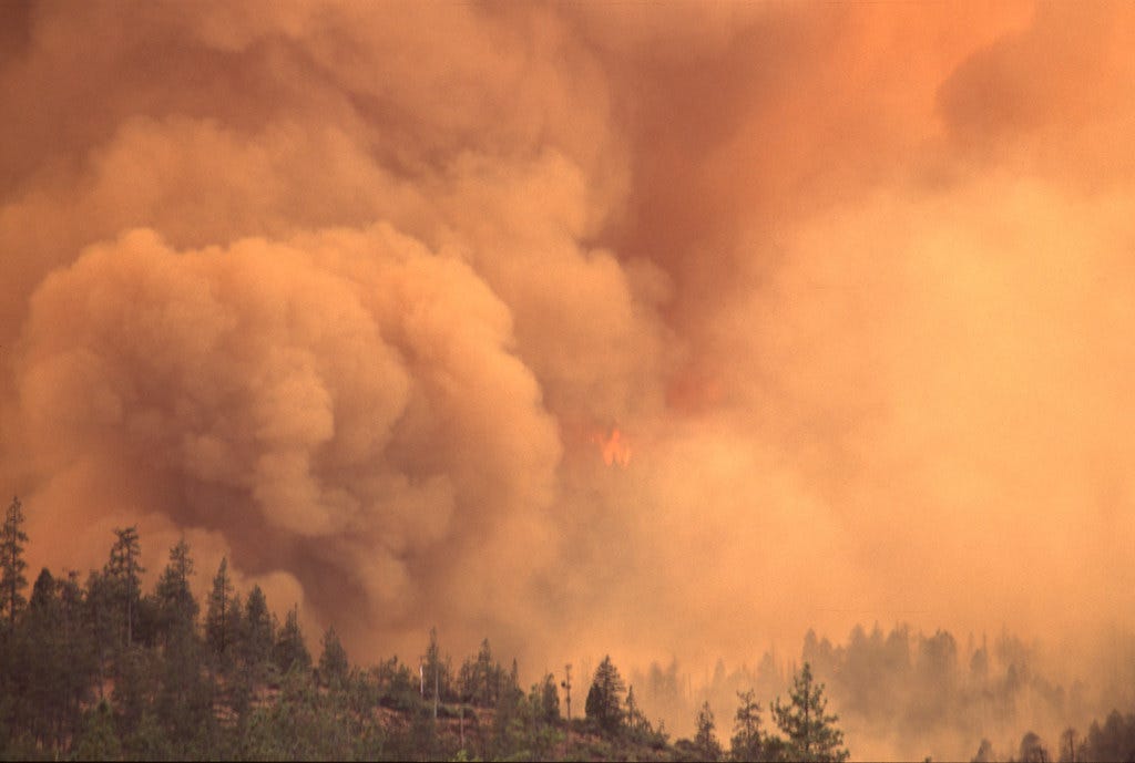 Wildfire in the Pacific Northwest