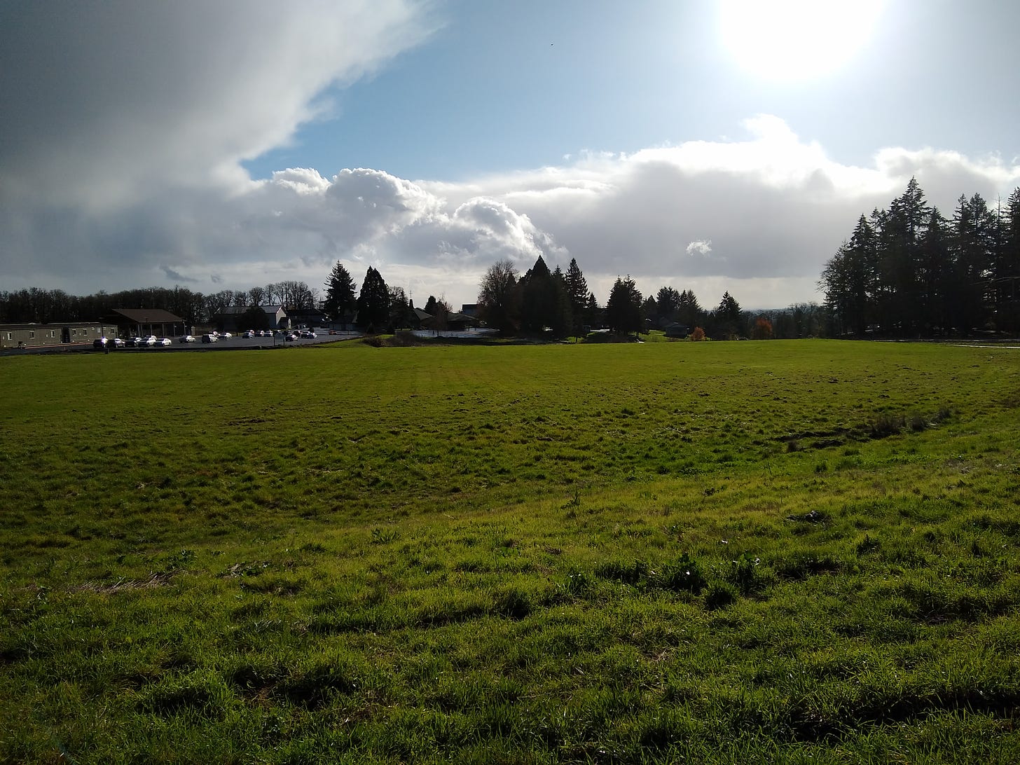 A green field, a sunny sky with big puffy white clouds