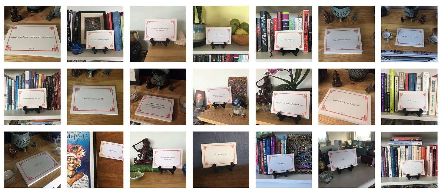 A collage of 21 photos of lojong slogan cards on various surfaces