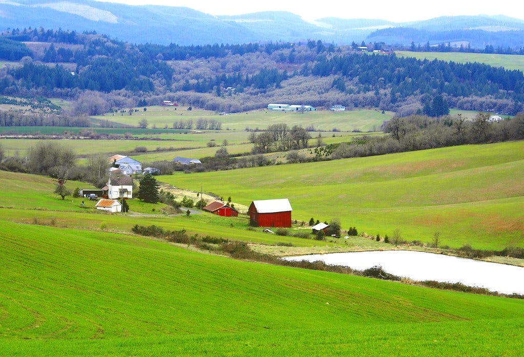 How Green Is This Valley