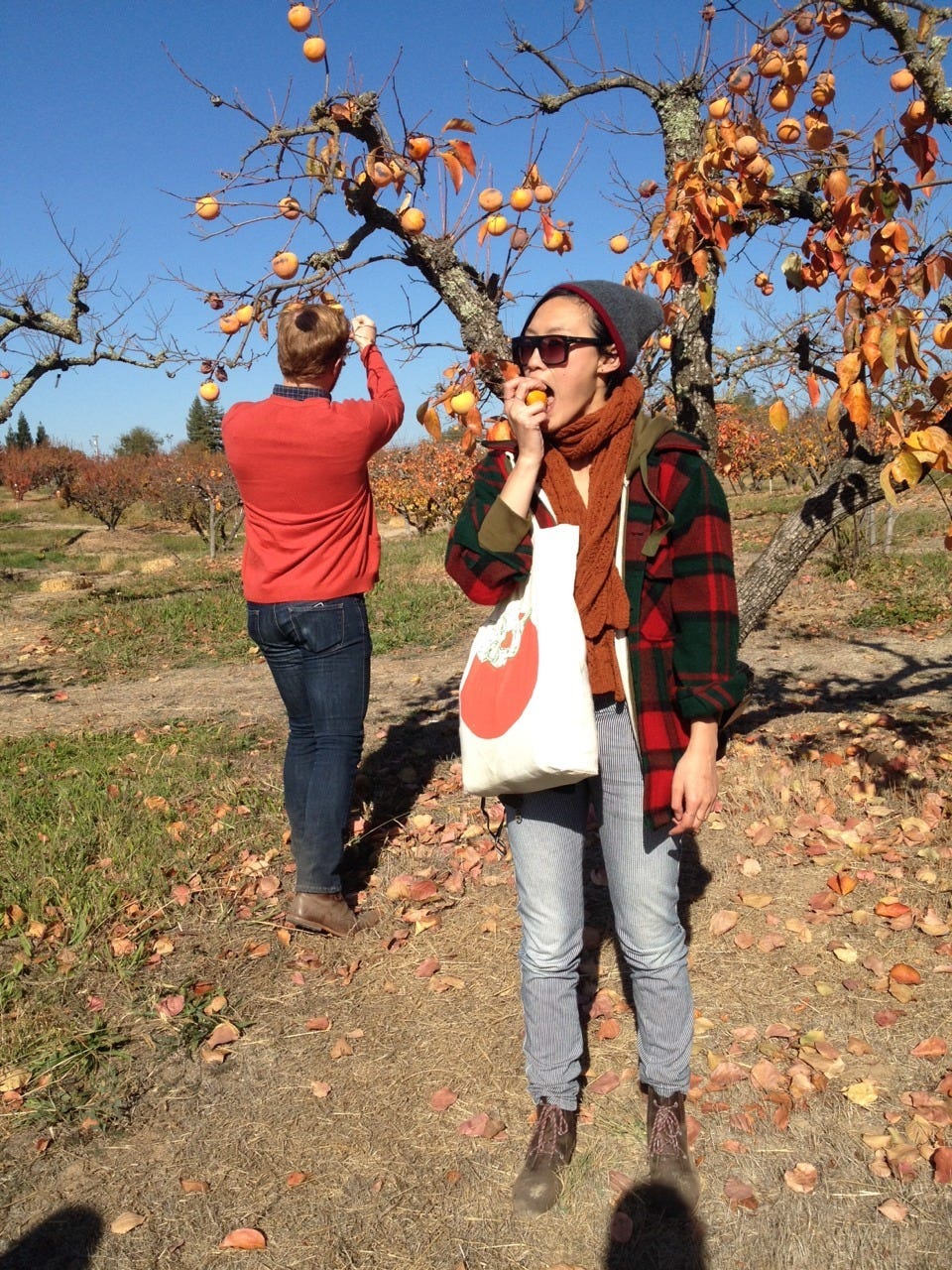 Our trip to Otow Orchard was easily one of my favorite days in 2013. I have never flipped out over fruit quite like I did that day. And yes, Tif and I wore persimmon-themed things.
Happy Persimmon Christmas, aka Persimmas!