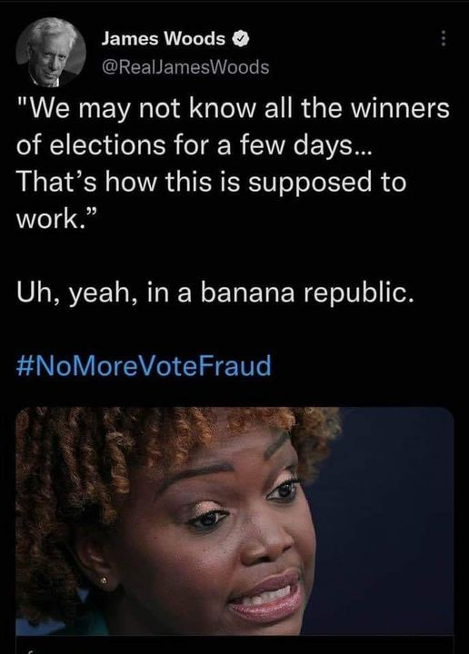 May be an image of 2 people and text that says 'James Woods @RealJamesWoods "We may not now all the winners of elections for a few days... That's how this is supposed to work." Uh, yeah, in a banana republic. #NoMoreVoteFraud'