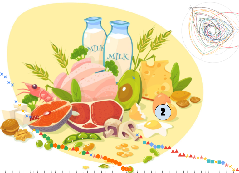 illustration of protein-rich foods and dairy products