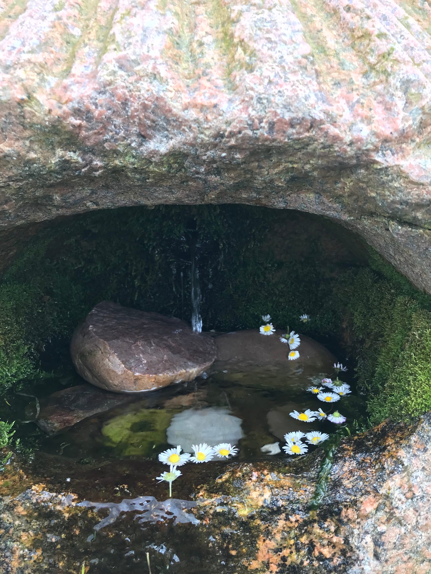A sandstone well house lined with moss, with a small stream of water pouring down. Flowers float over rocks in the basin as it overflows