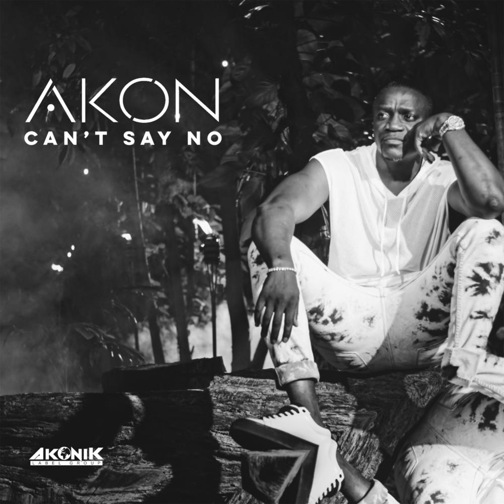 Akon - Can't Say No Lyrics | Genius Lyrics