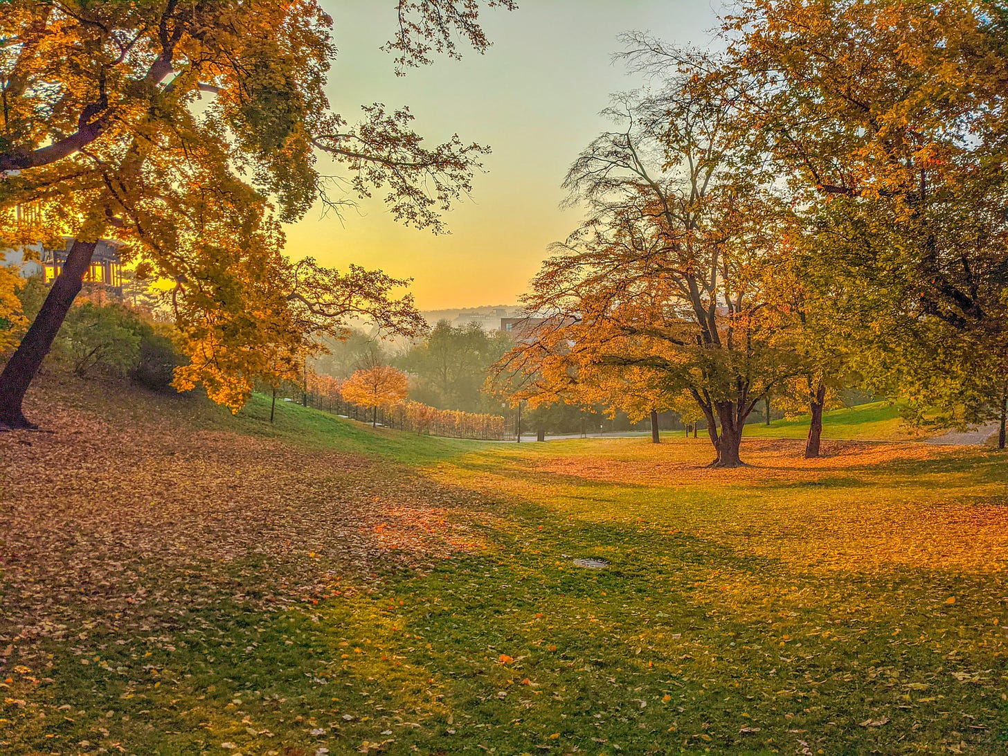 The view down a sloping hill in a Prague park filled with trees covered with leaves of red, gold, green, and yellow. 