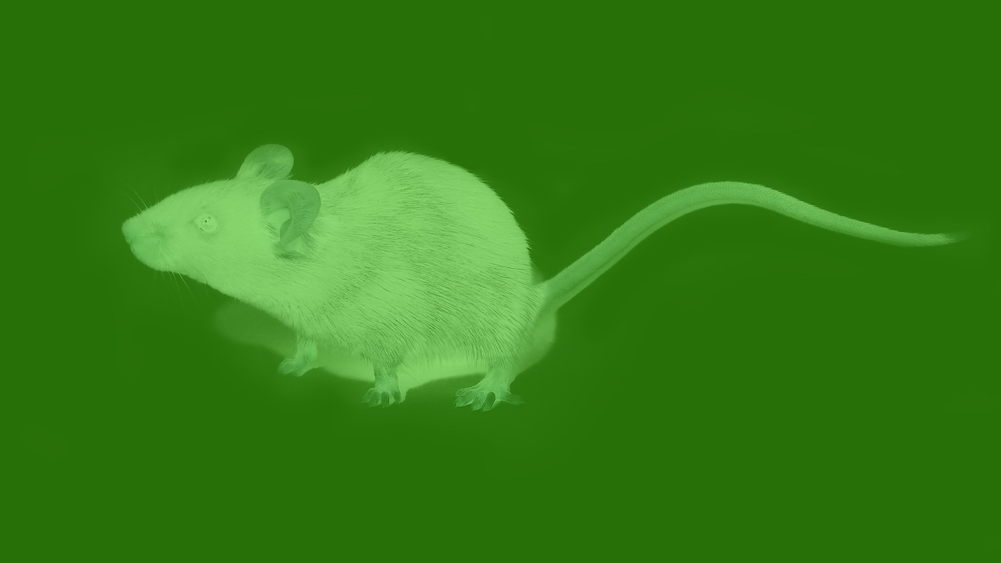 Nanoparticles Enable Mice to See in Infrared | NOVA | PBS | NOVA | PBS