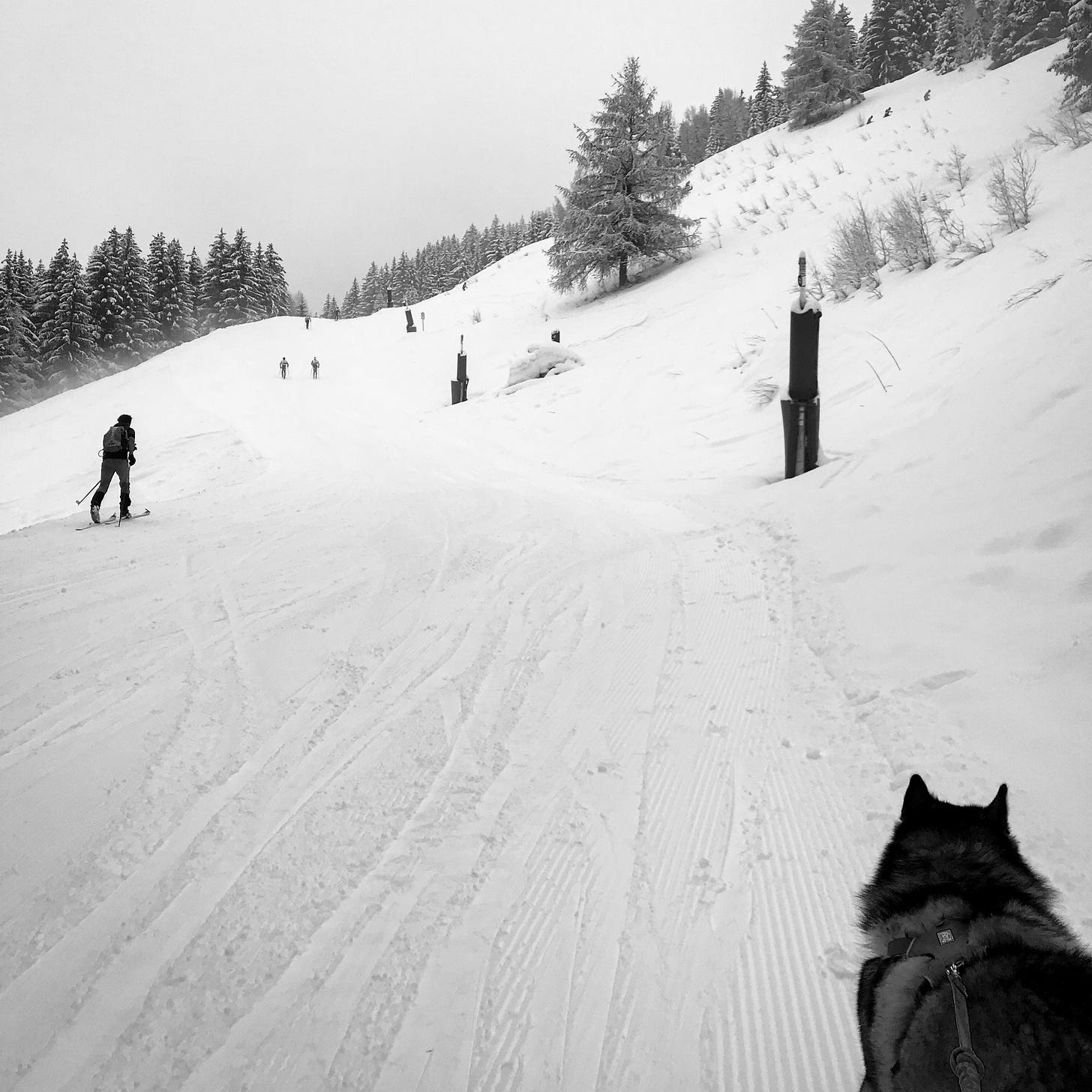 Snowy Hillside skiers walking up the hill. Black and white image. 