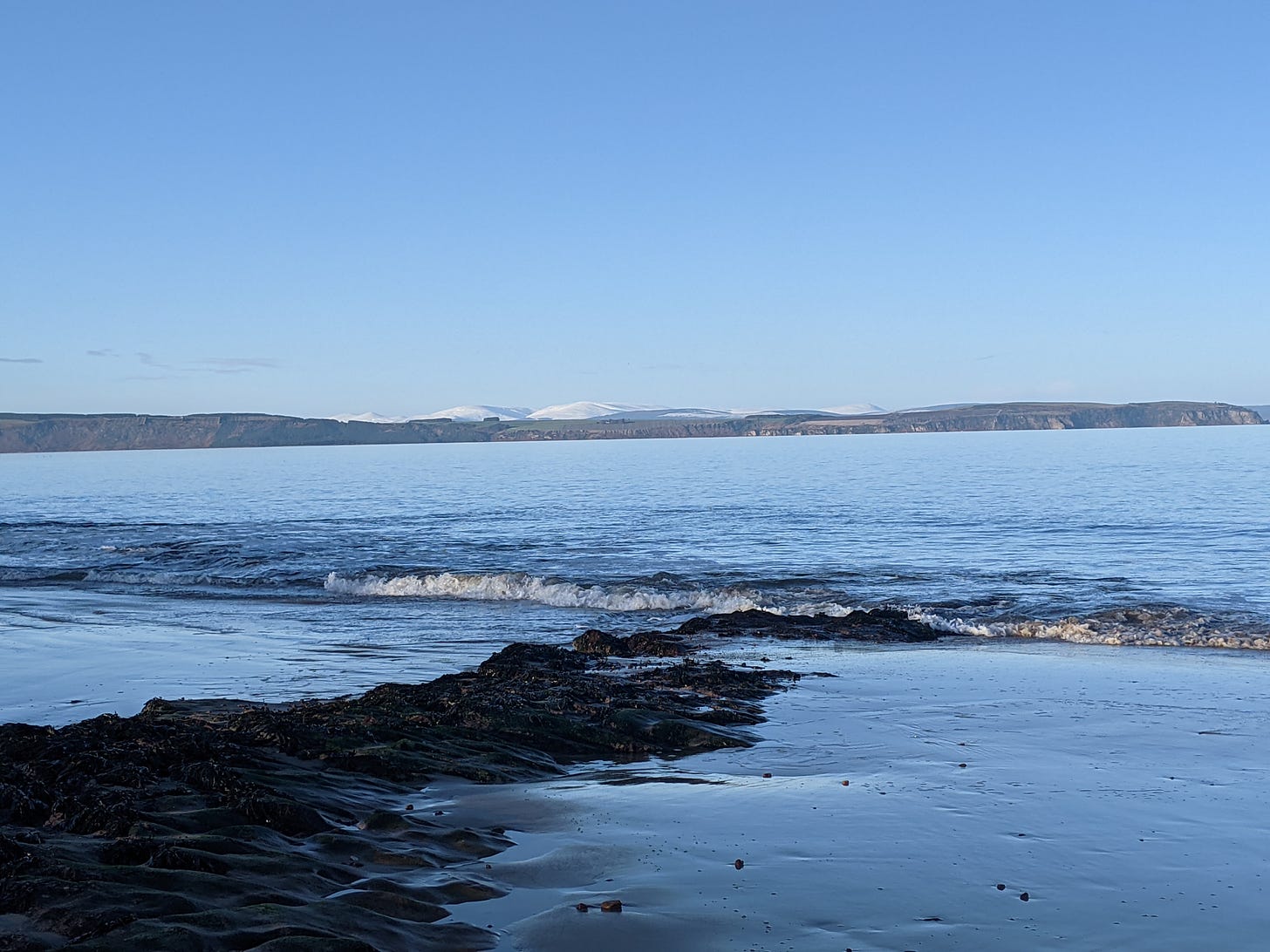Seaweed on the rocks on the beach.  Flat blue water and snow capped hills in the distance