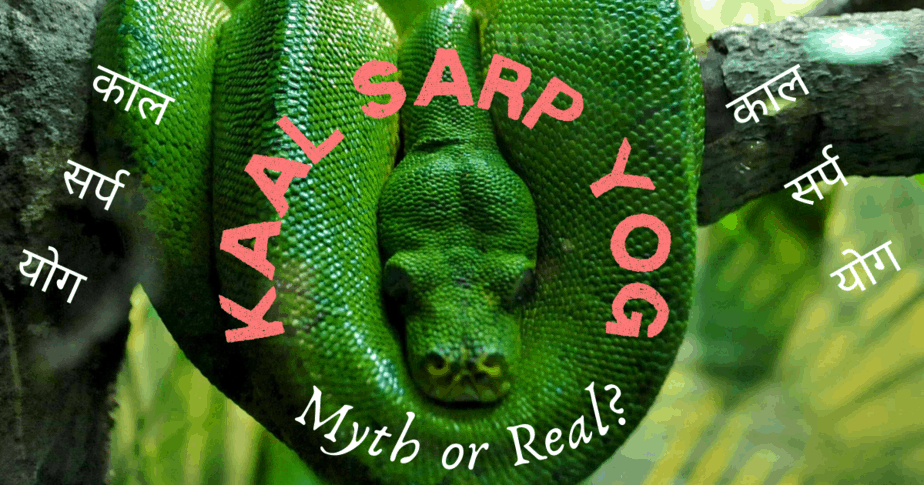 The image describes a cobra coiled on a tree and represents Kaal Sarp Yog / काल सर्प योग