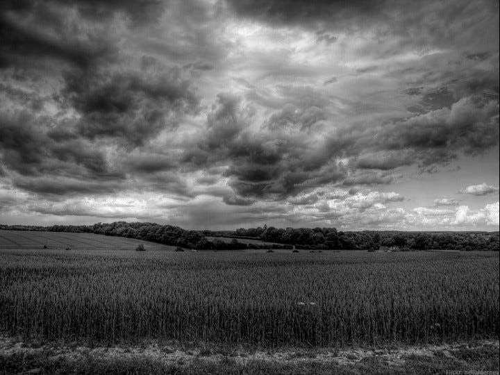 Storm clouds gathering over field