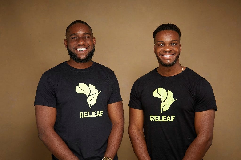 Nigerian agritech startup Releaf secures $4.2M to scale its food processing  technology | TechCrunch