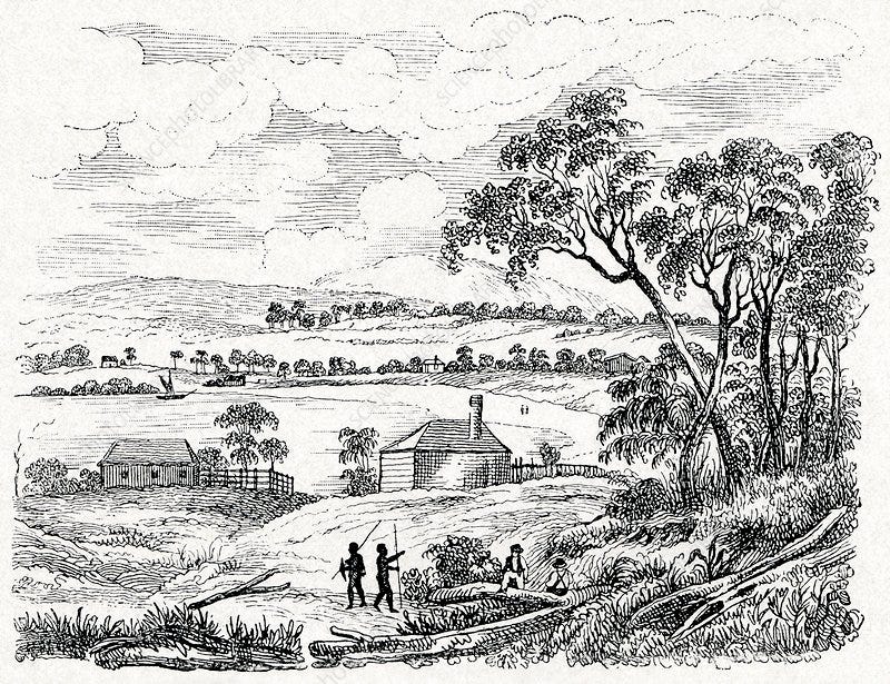 Sydney Cove, Australia, circa 1790 - Stock Image - C007/3117 - Science  Photo Library