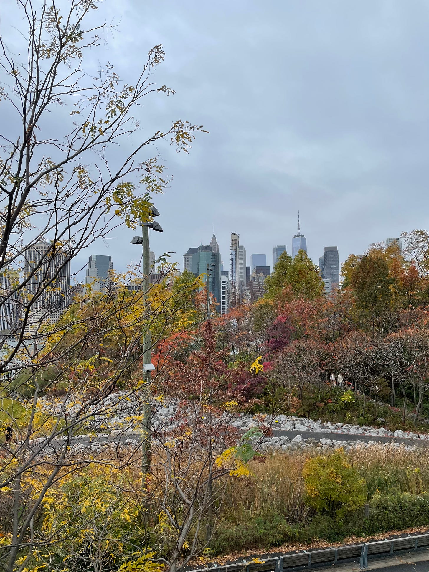 The New York City skyline on a grey fall day. In the foreground, trees of multiple colors can be seen; their leaves changing color.