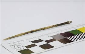 The first found needle. From Siberia 50,000 BCE