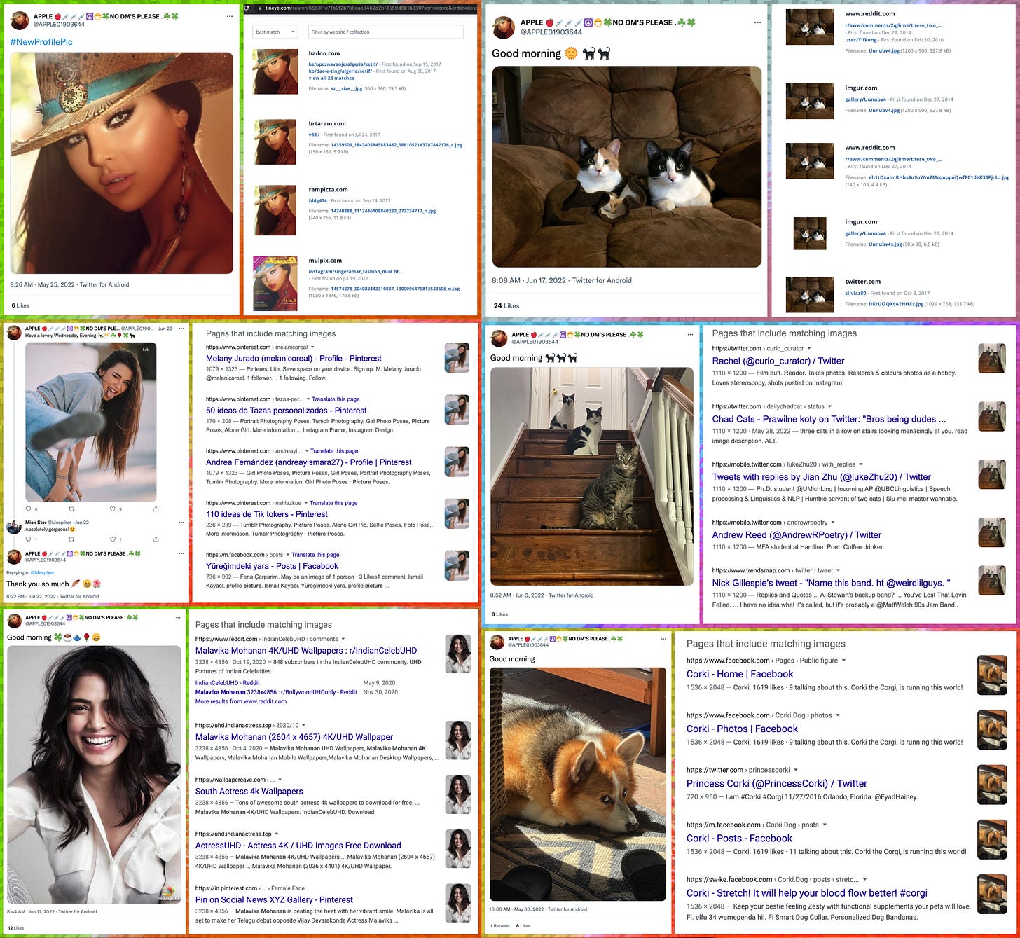 alleged photos of @APPLE01903644 and @APPLE01903644's pets, and reverse image searches showing the photos are plagiarized