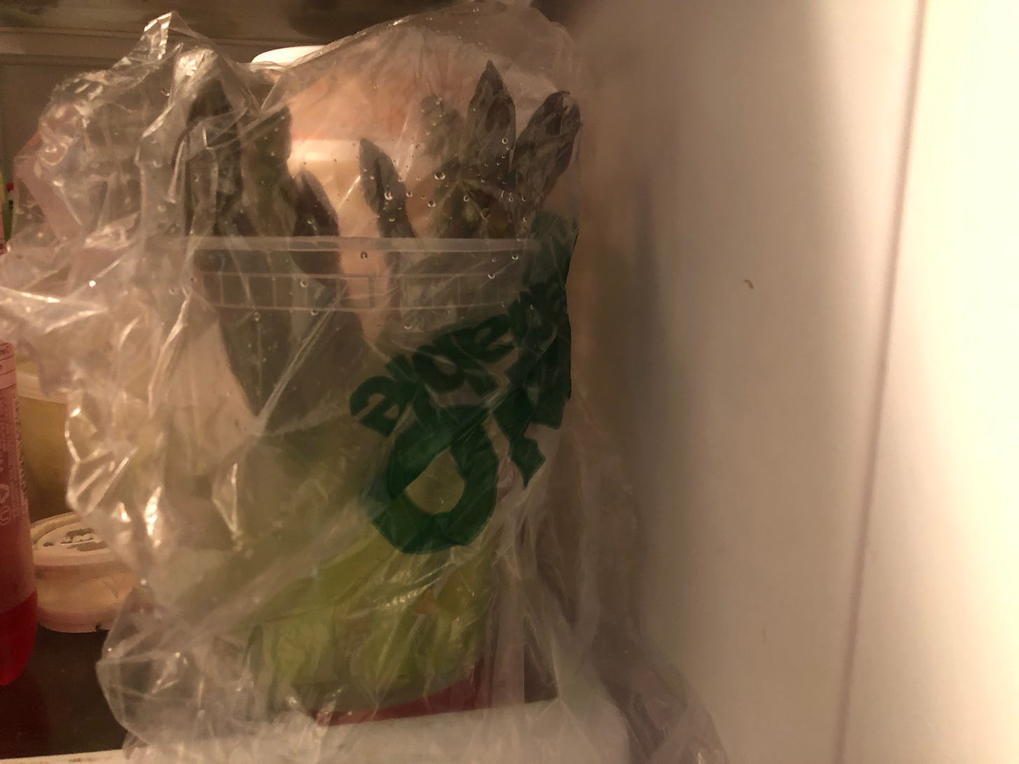 A pound of asparagus—about ten spears—standing in a container of water in a fridge, covered by a plastic bag. 