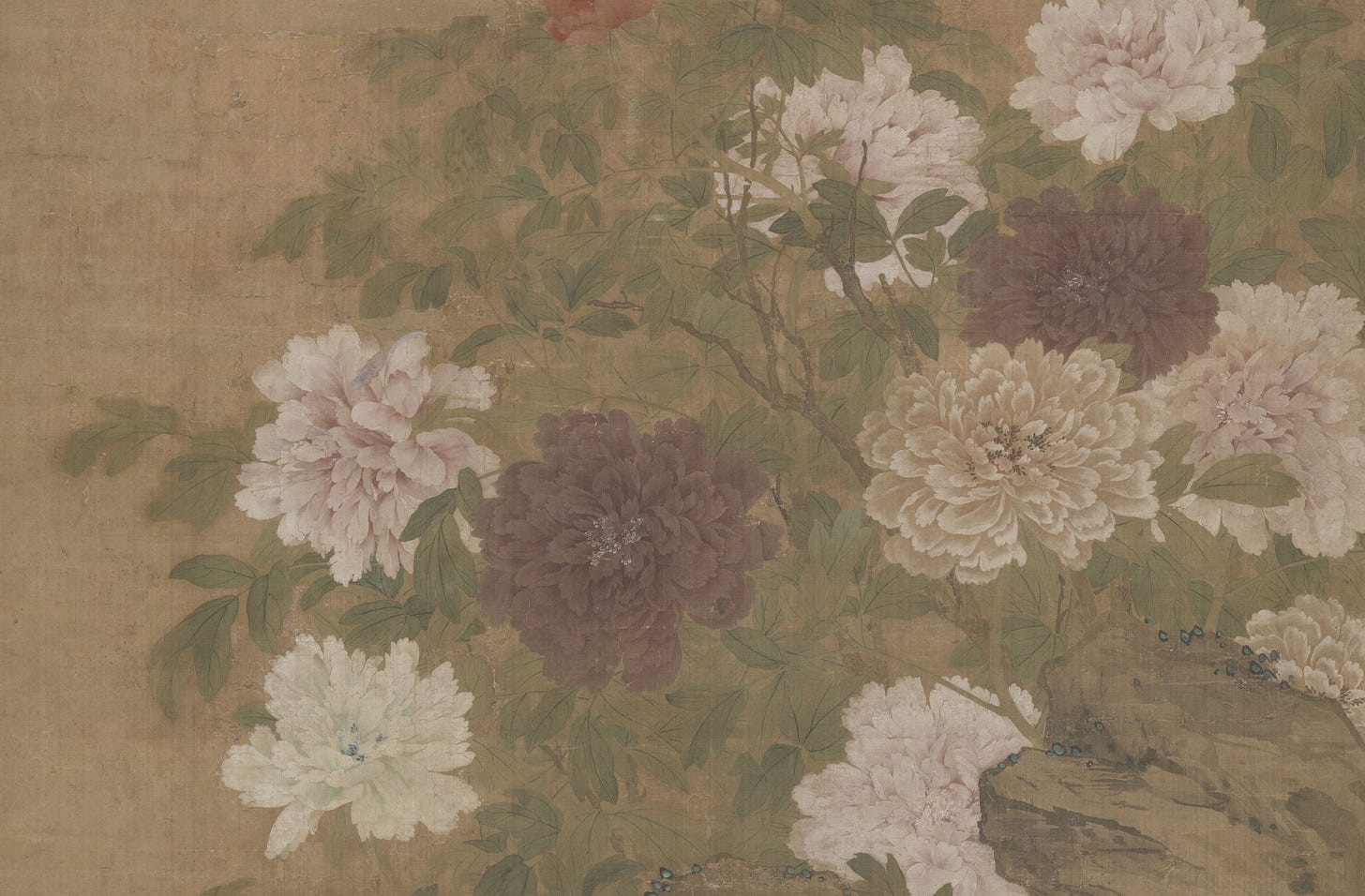 Chinese painting from the 18th century of blossoming peonies in white, pink, and purple