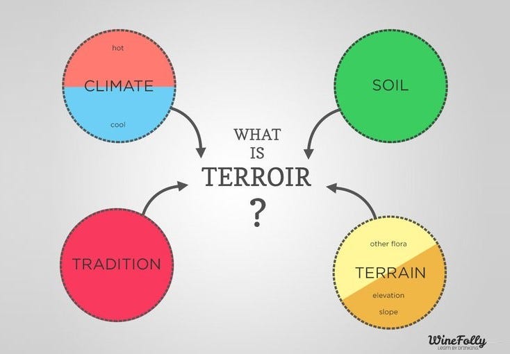 A Very Simple spider diagram of the concept of Terroir in growing grapes for wine