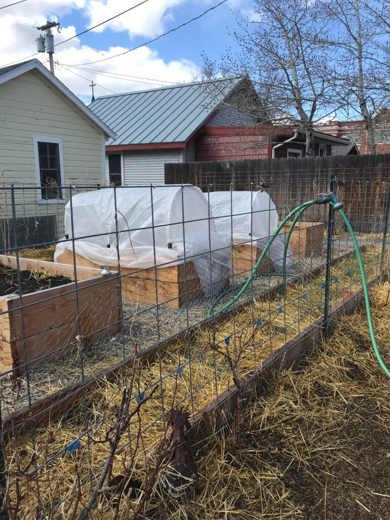 Four high raised garden beds, two with plastic hoop houses. One long low raised bed in foreground. 